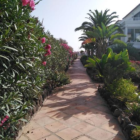 Apartamento La Palmera Amarilla Golf Сан Мигел де Абона Екстериор снимка