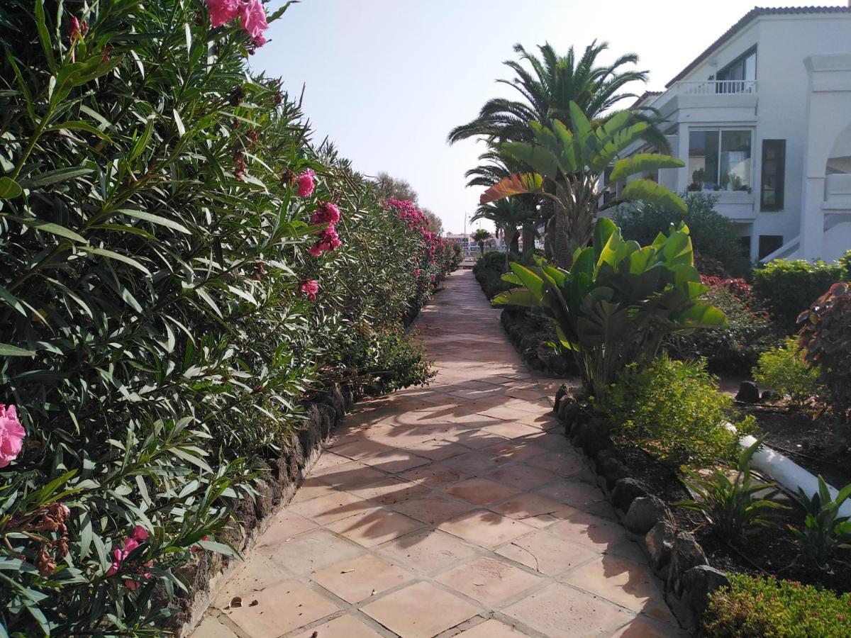 Apartamento La Palmera Amarilla Golf Сан Мигел де Абона Екстериор снимка
